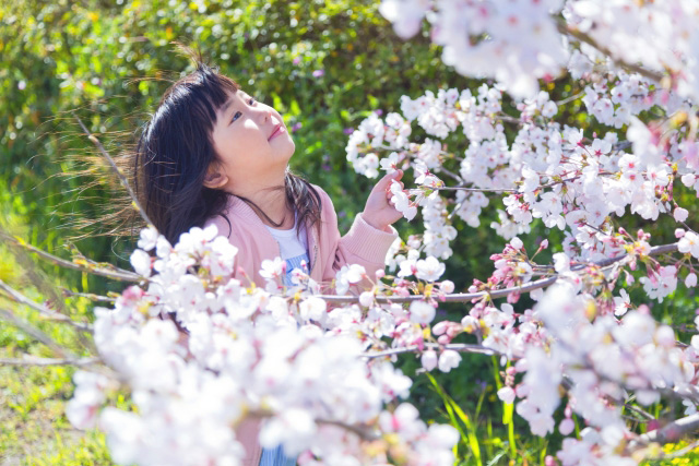 子育てや住宅購入時の支援策の写真3